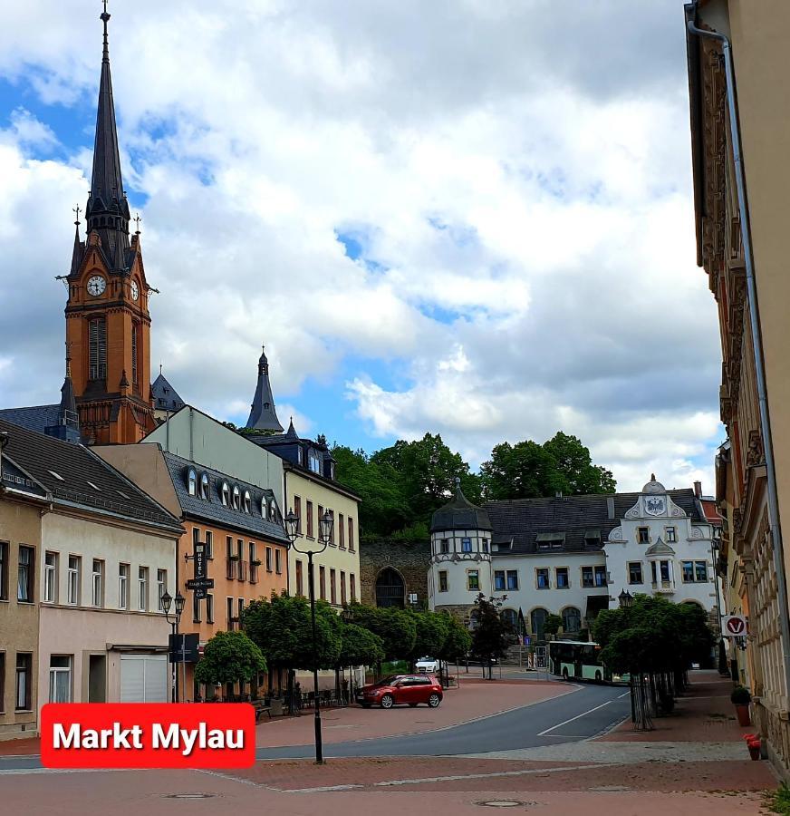 Ferienwohnung "Blick Mylau" - Naehe Freizeitpark Plohn & Weltgroesster Ziegelsteinbruecke Reichenbach im Vogtland Kültér fotó