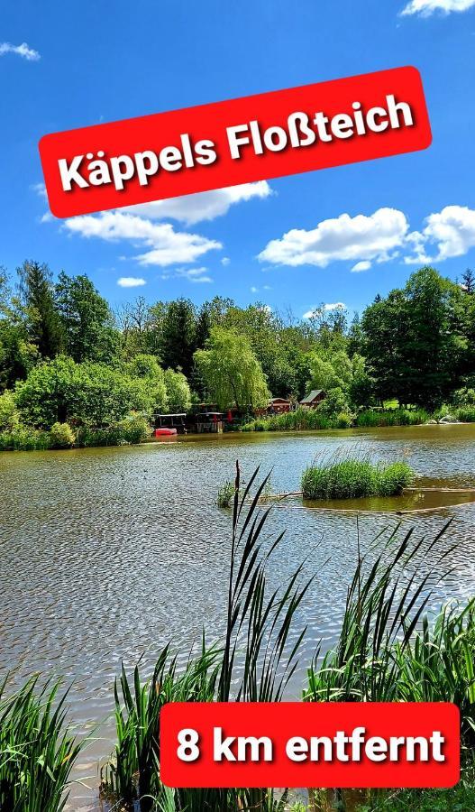 Ferienwohnung "Blick Mylau" - Naehe Freizeitpark Plohn & Weltgroesster Ziegelsteinbruecke Reichenbach im Vogtland Kültér fotó