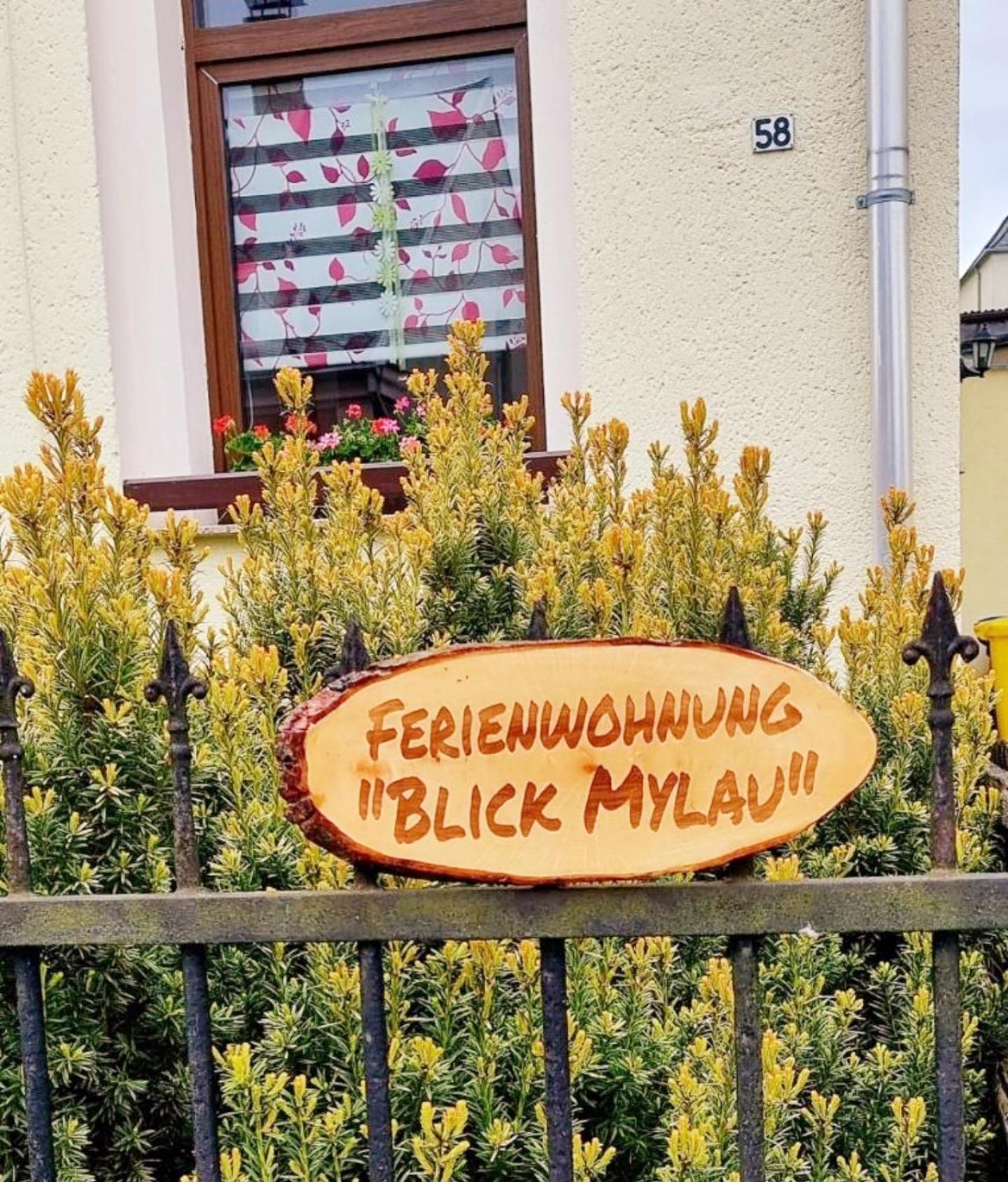 Ferienwohnung "Blick Mylau" - Naehe Freizeitpark Plohn & Weltgroesster Ziegelsteinbruecke Reichenbach im Vogtland Kültér fotó