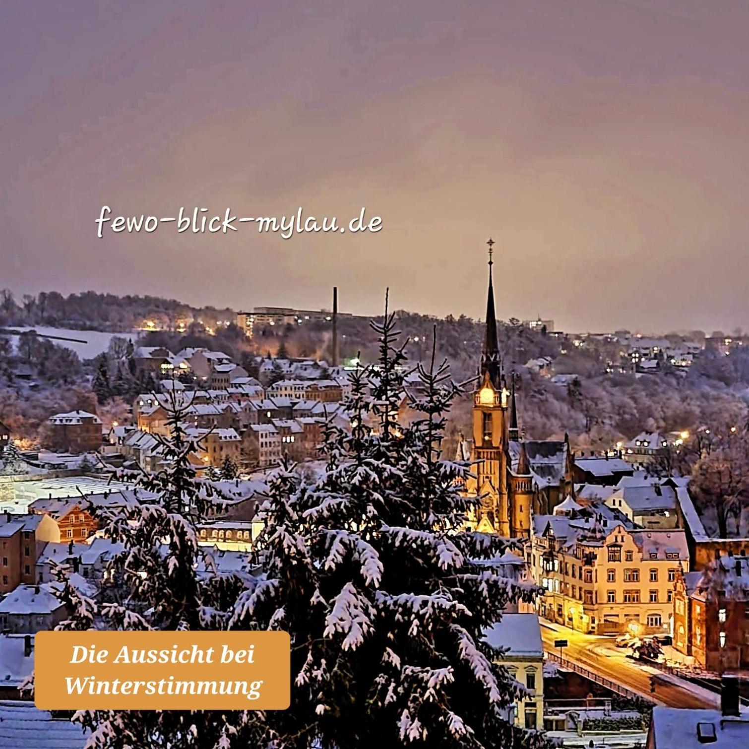 Ferienwohnung "Blick Mylau" - Naehe Freizeitpark Plohn & Weltgroesster Ziegelsteinbruecke Reichenbach im Vogtland Kültér fotó